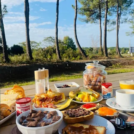Hossegor Saint-Geours-de-Maremne